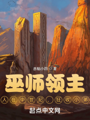巫师领主:人在中世纪,狂收小弟