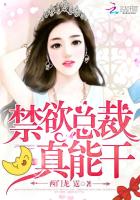 禁欲总裁,晚上好!