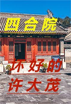 四合院:坏好的许大茂
