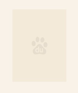 九位未婚妻找上门，前妻悔哭了