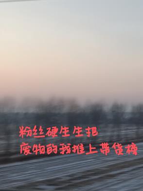 粉丝硬生生把废物的我推上带货榜