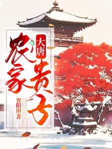 穿越大唐:农家子弟挣钱忙