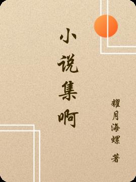 小说集啊