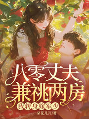 八零丈夫兼祧两房？我转身嫁军少
