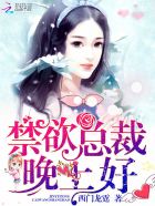 傲娇总裁,你好!